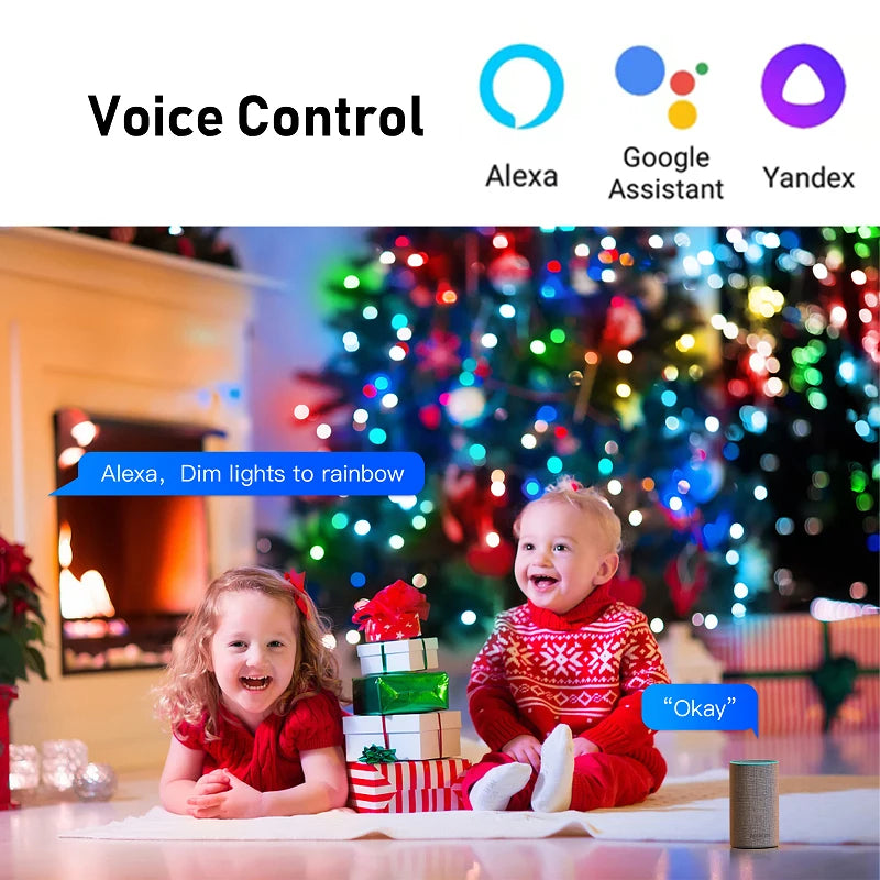 Tuya Smart Wifi RGBIC LED Strip Light Waterproof RGB Ambient Decor Lamp Music Sync Smart Life App Work with Alexa Google Home